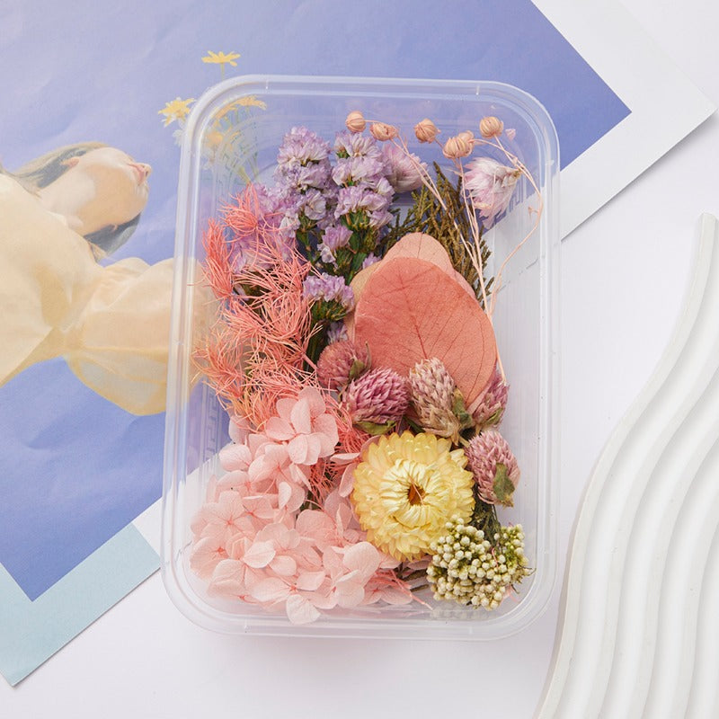 Wholesale DIY Handmade Mixed Dried Flowers Boxed Material Package Real Flowers Natural Air-dried Decorative Ornaments Dripping Glue Flower Material
